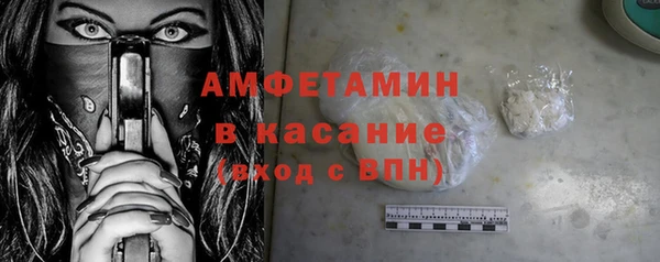 прущие грибы Переславль-Залесский