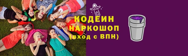 прущие грибы Переславль-Залесский